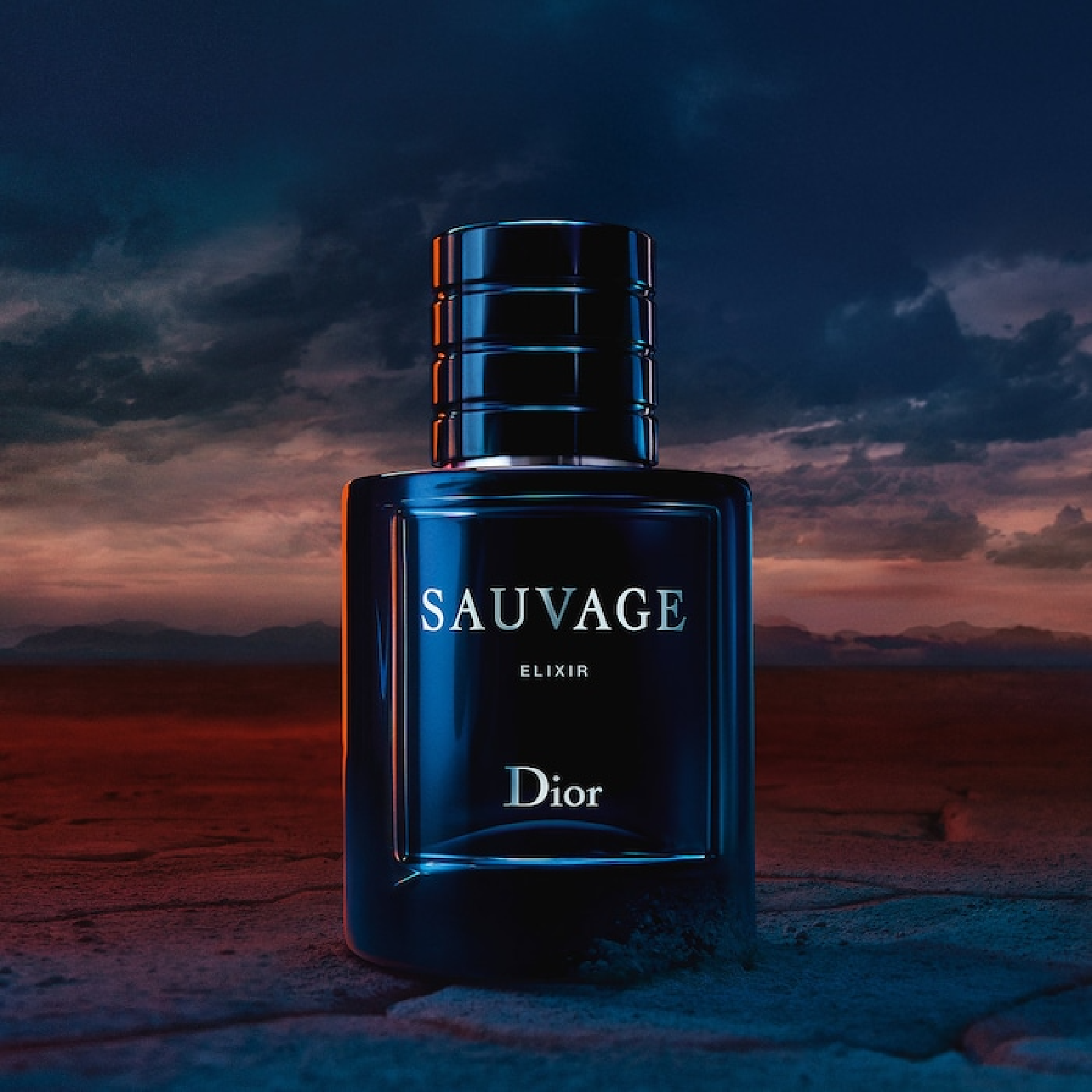 Sauvage Elixir