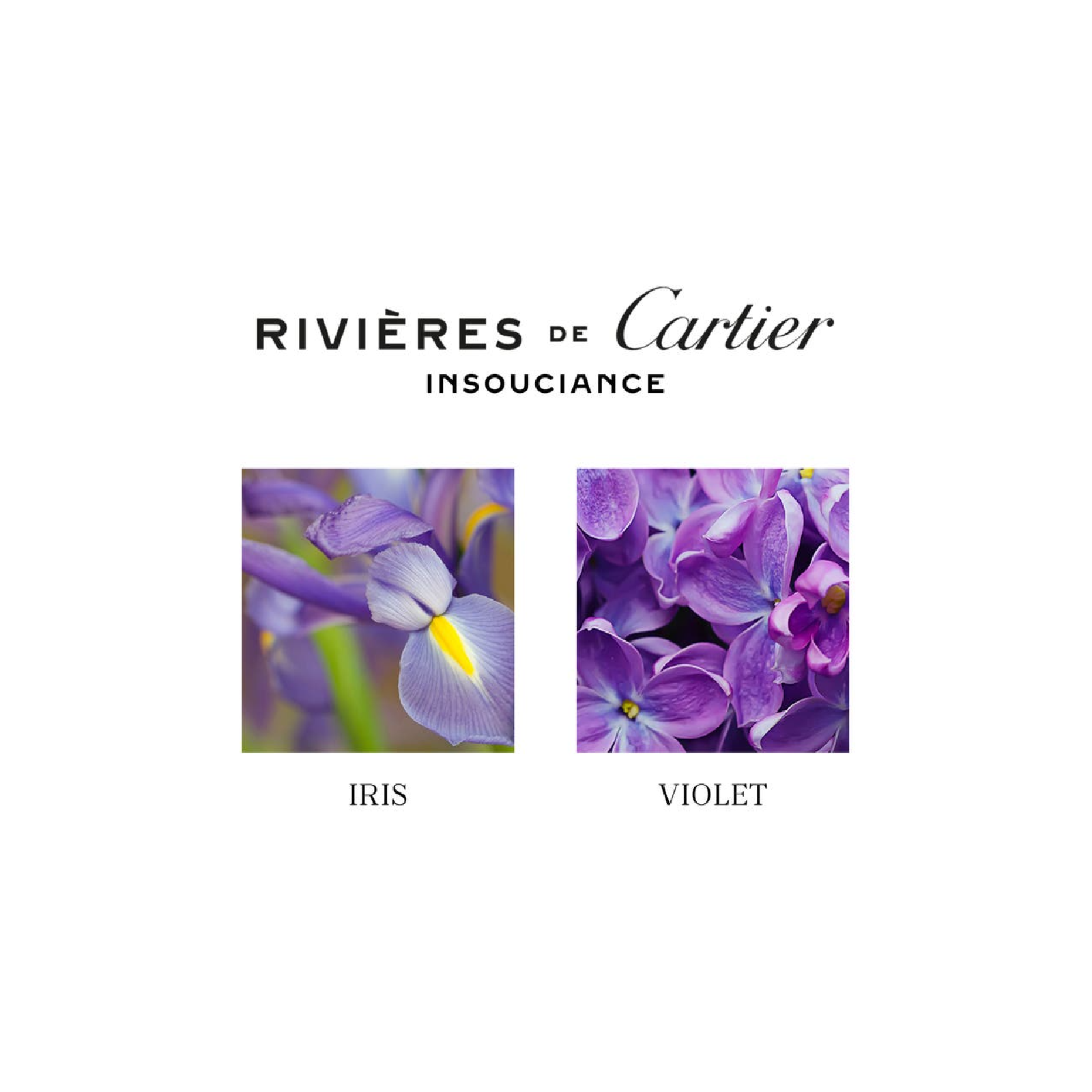 Rivières de Cartier Insouciance EDT
