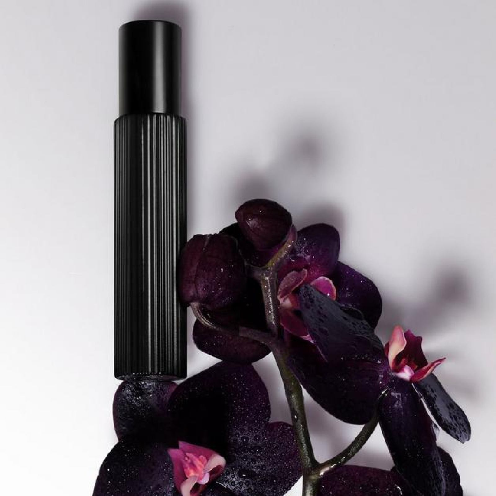 Black Orchid EDP