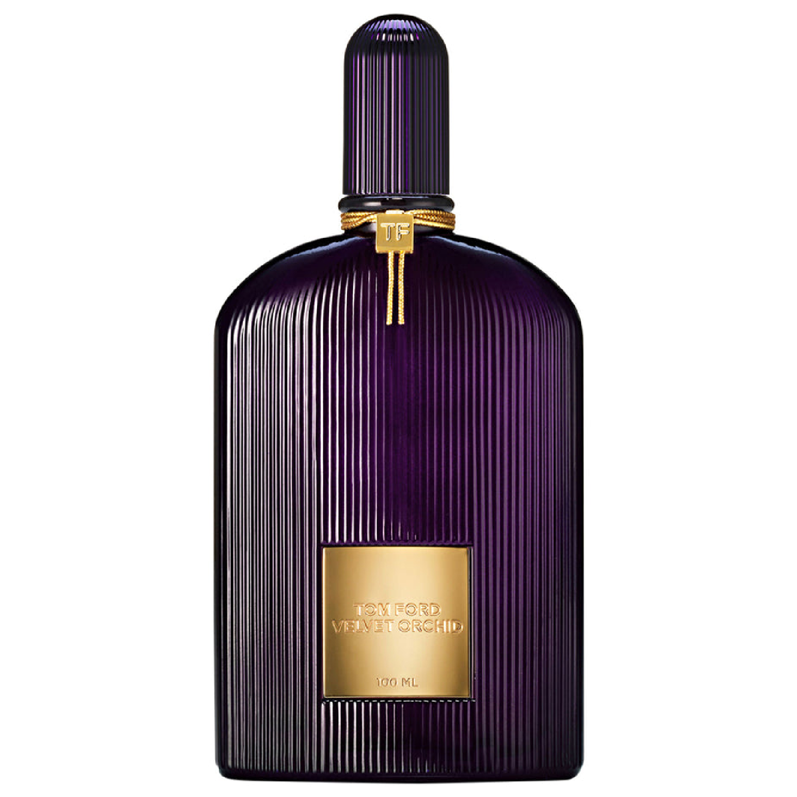 Velvet Orchid