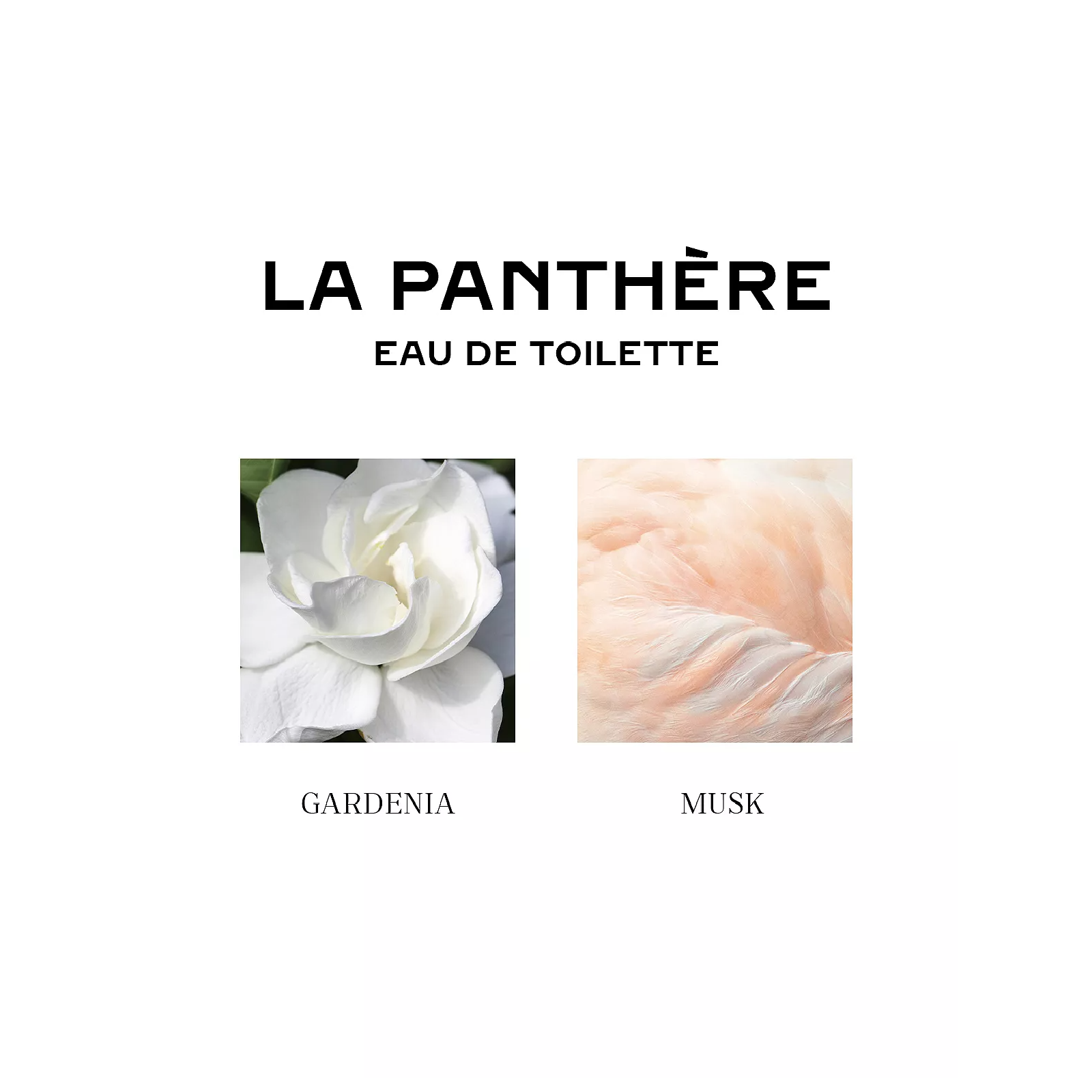 La Panthère EDT