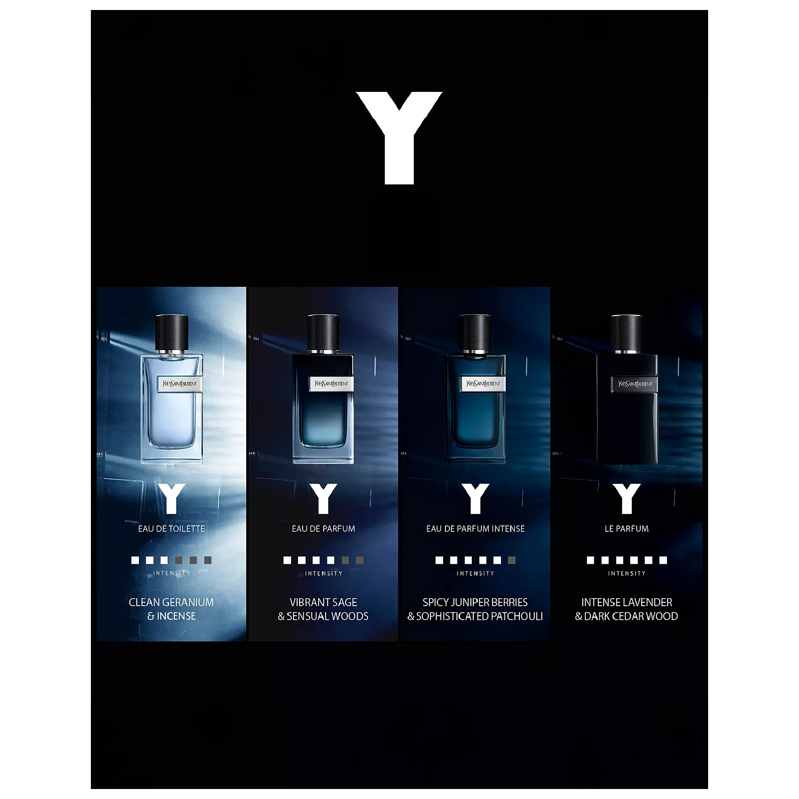 Y