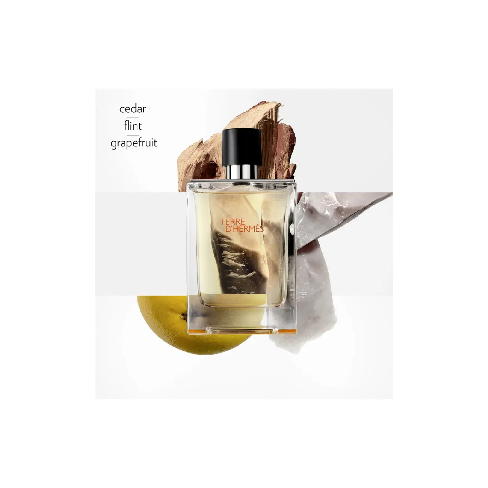 Hermes Terre D'hermes Eau de Toilette for Men