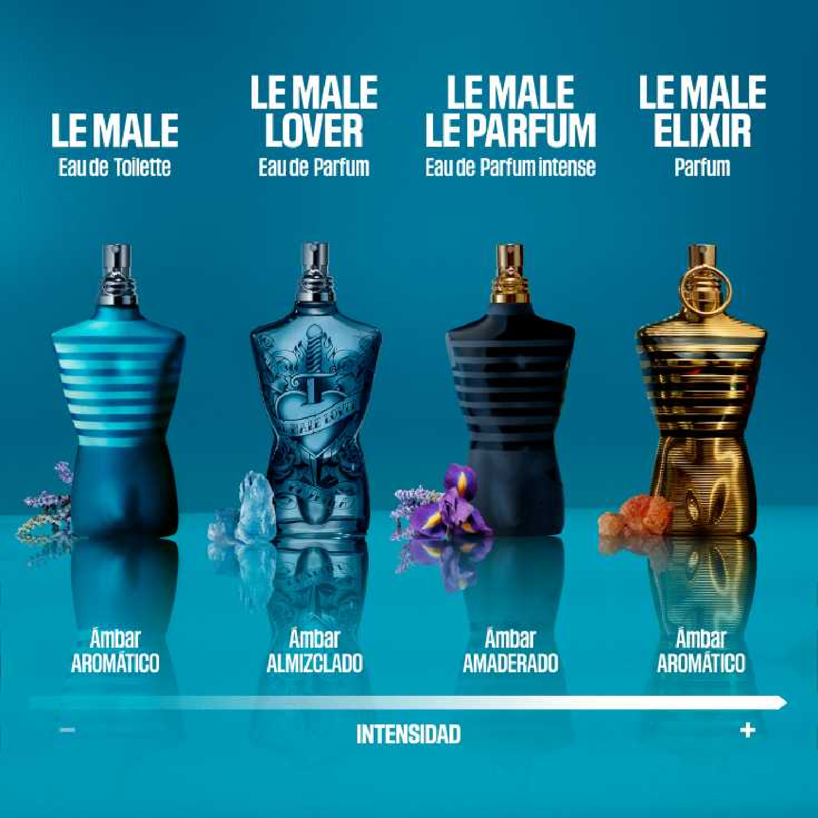 Le Male Lover