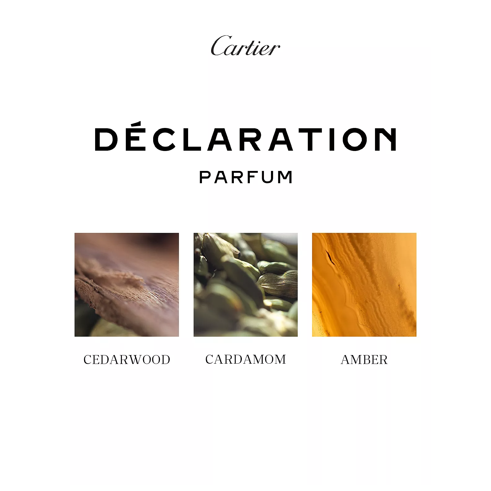 Déclaration Parfum