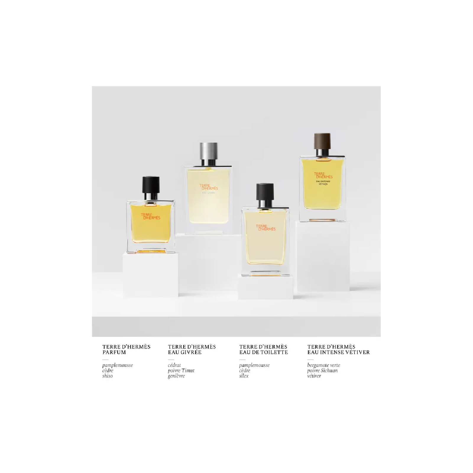 Hermes Terre D'hermes Eau de Toilette for Men