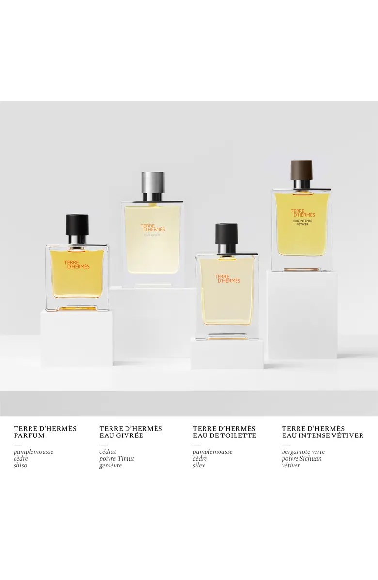 Hermes Terre D'hermes Eau de Toilette for Men