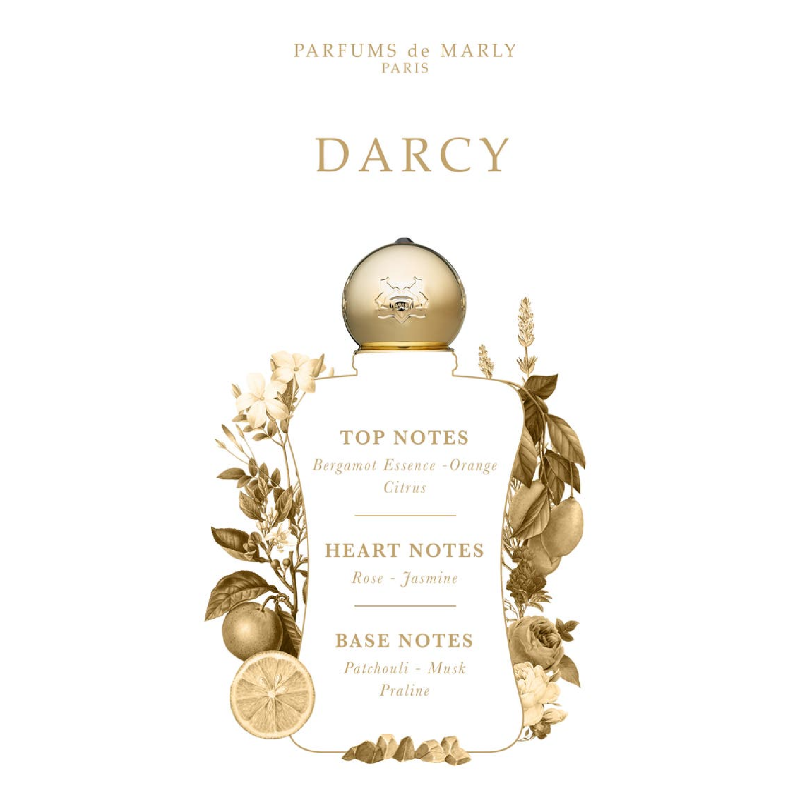 Darcy