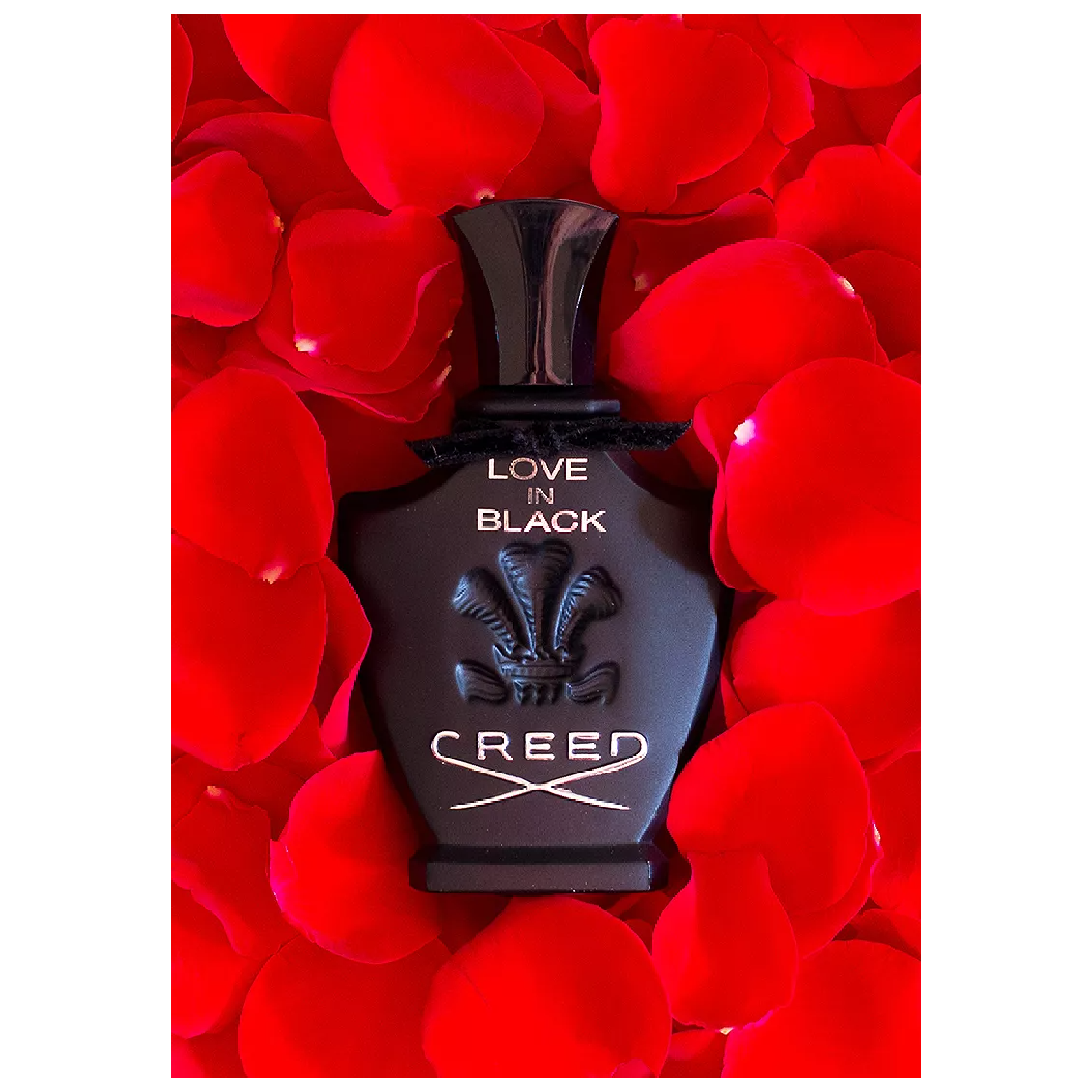 Love In Black