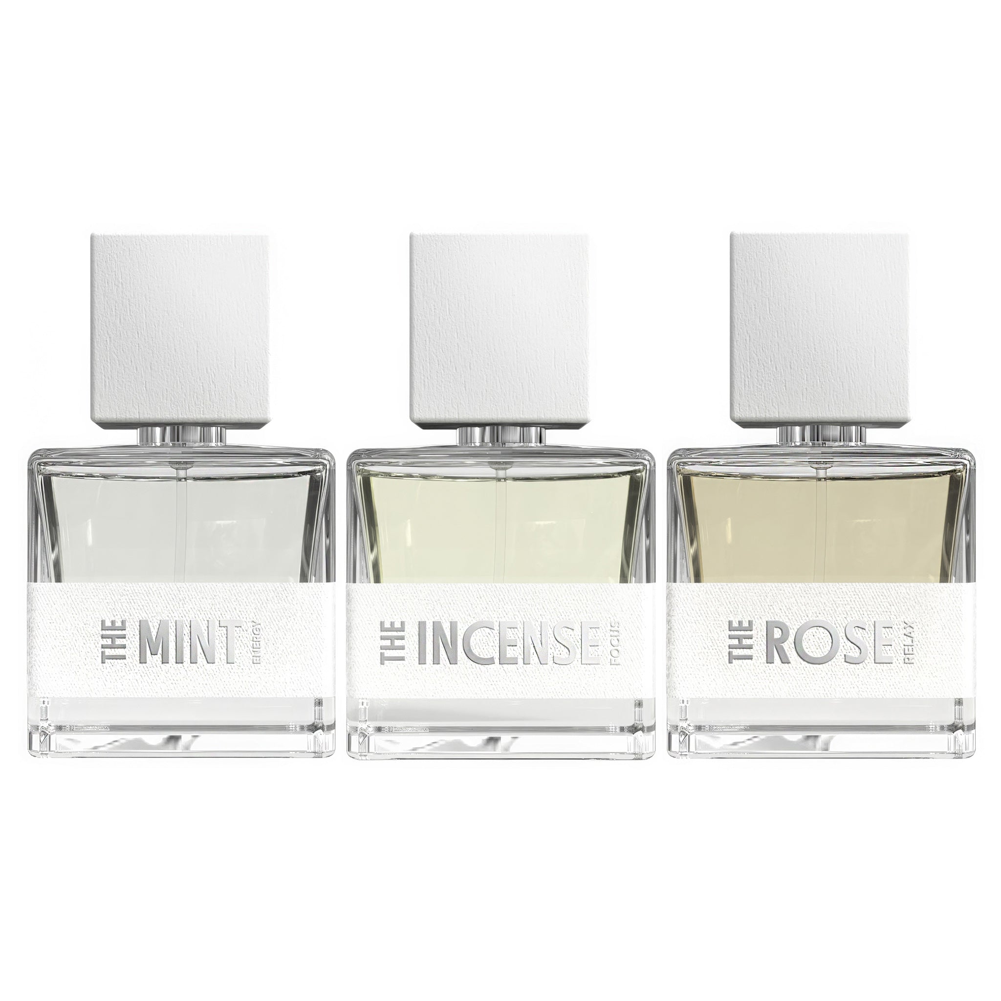 THE 3 ESSENTIALS: Energy, Focus, Relax