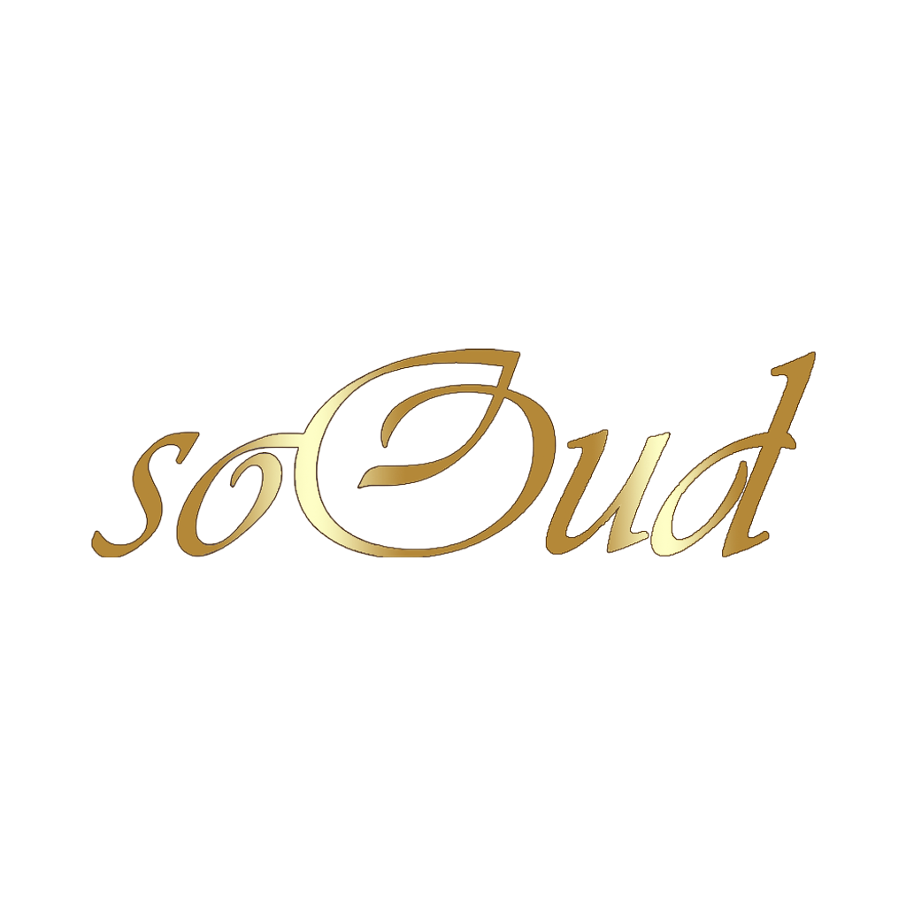 SoOud logo