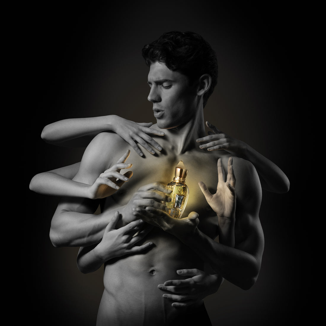 Homme Anniversary