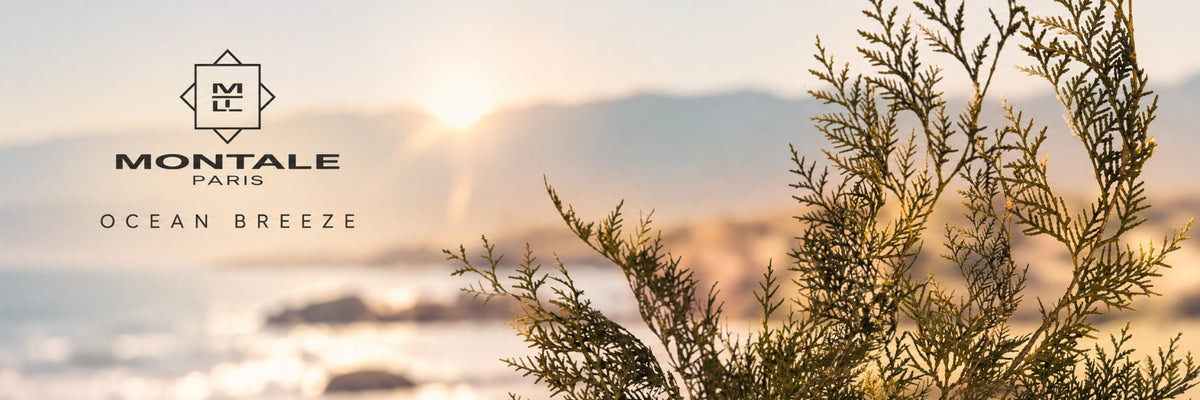 Montale Ocean Breeze collection banner