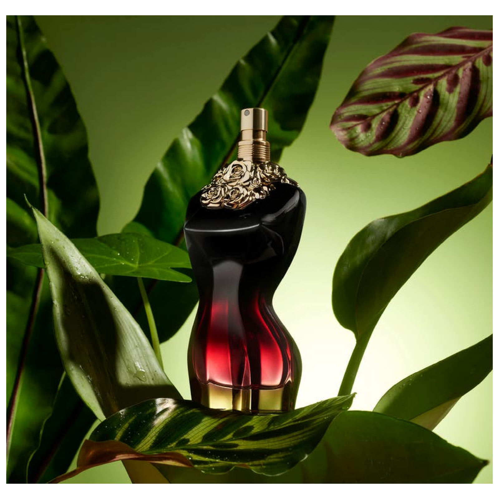 La Belle Le Parfum Eau