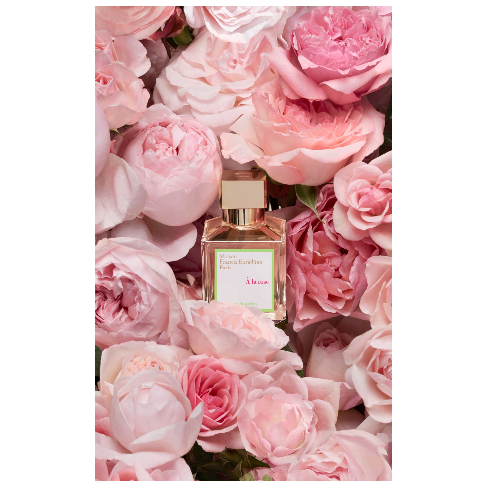 A La Rose