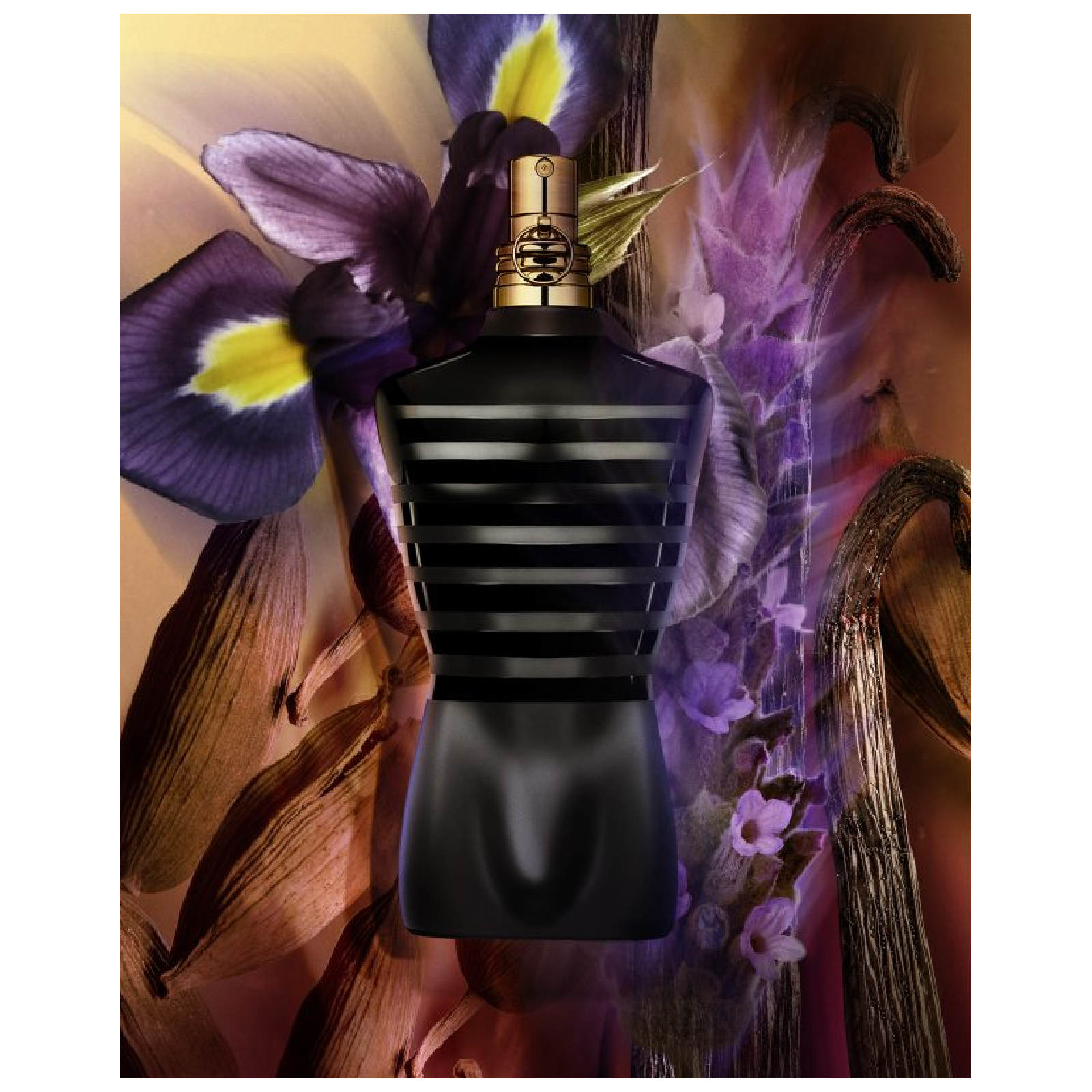 Le Male Le Parfum Intense