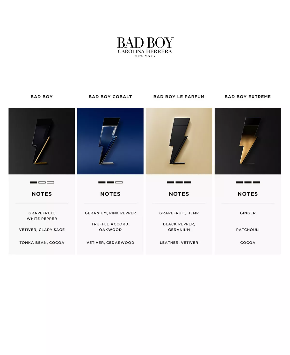 Bad Boy