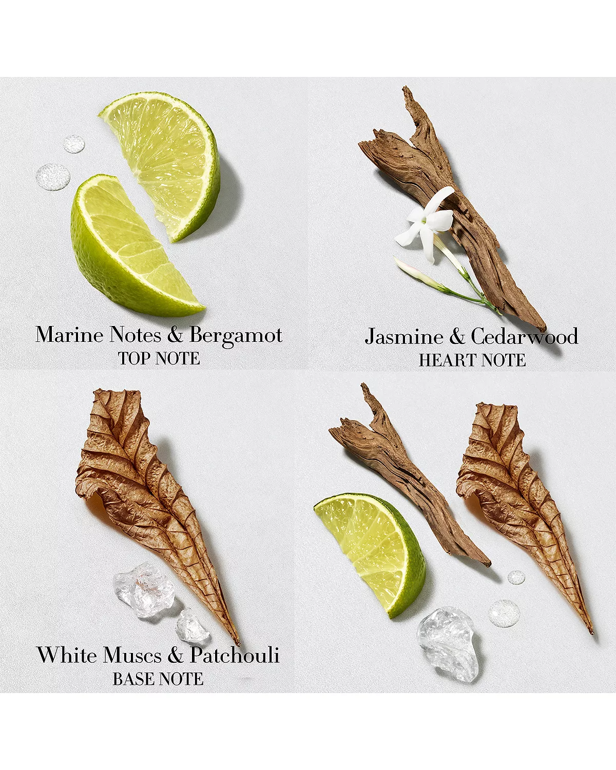 Acqua di Giò Pour Homme