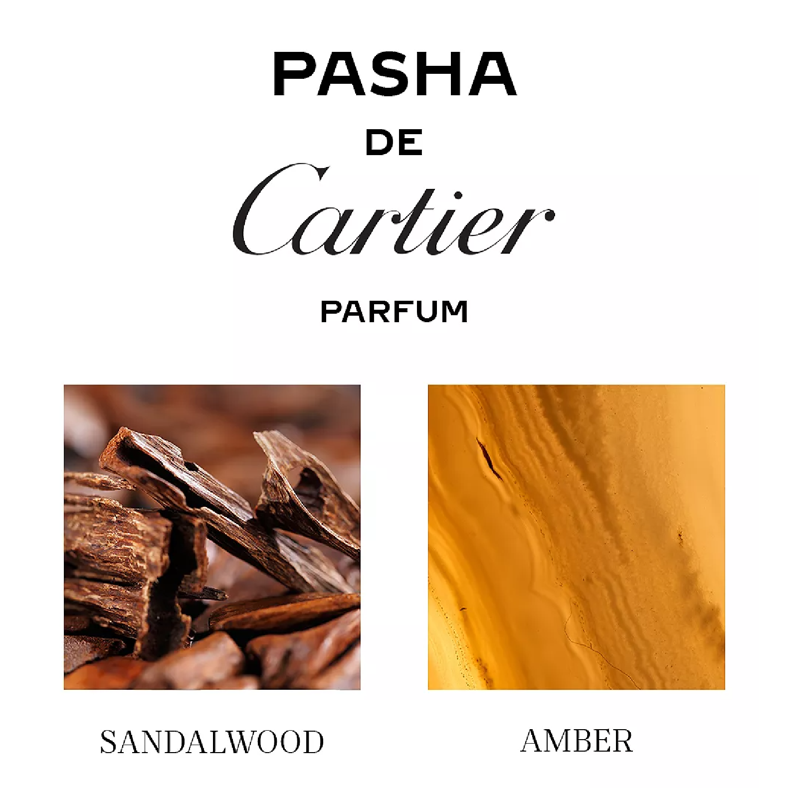 Pasha De Cartier Parfum