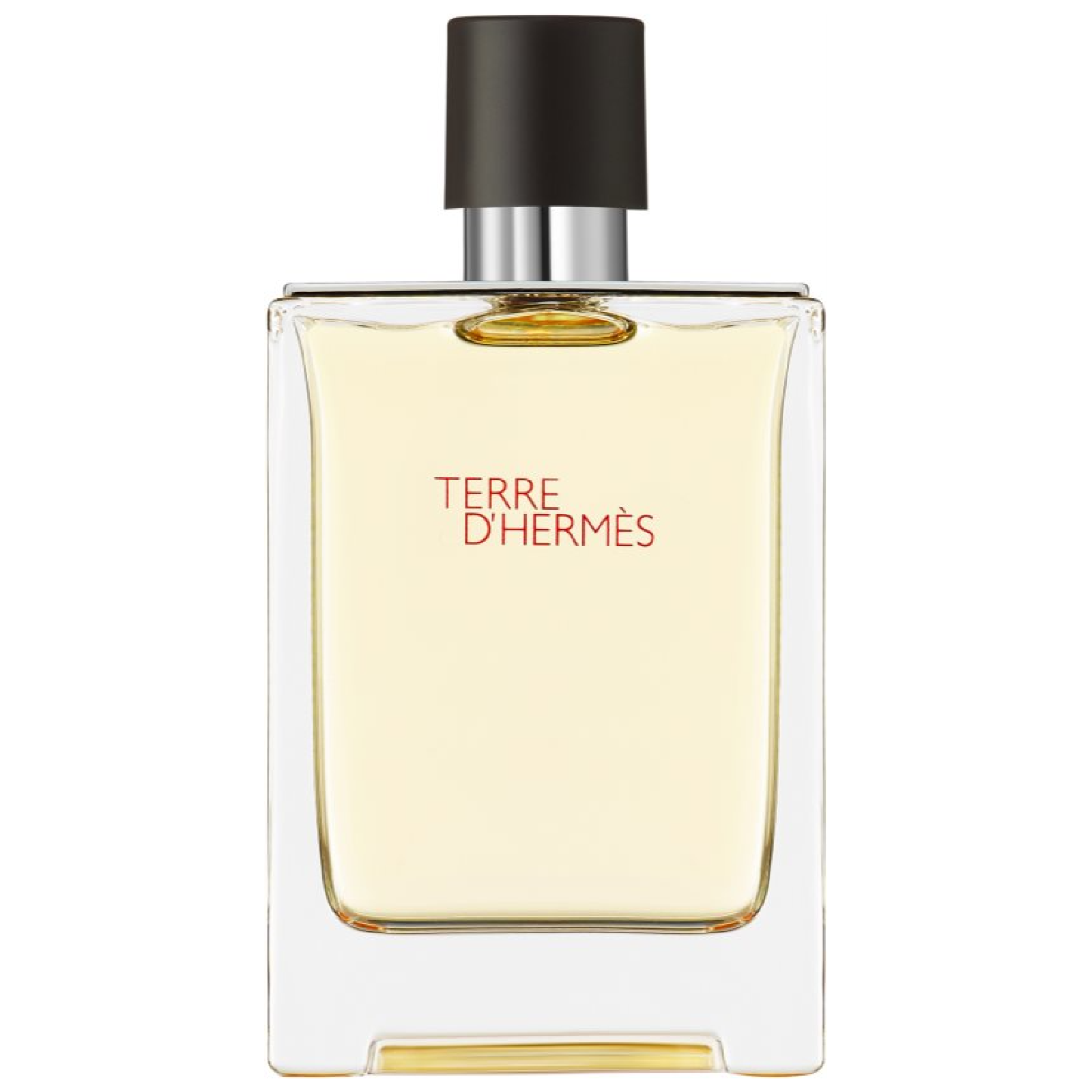 Hermes Terre D'hermes Eau de Toilette for Men