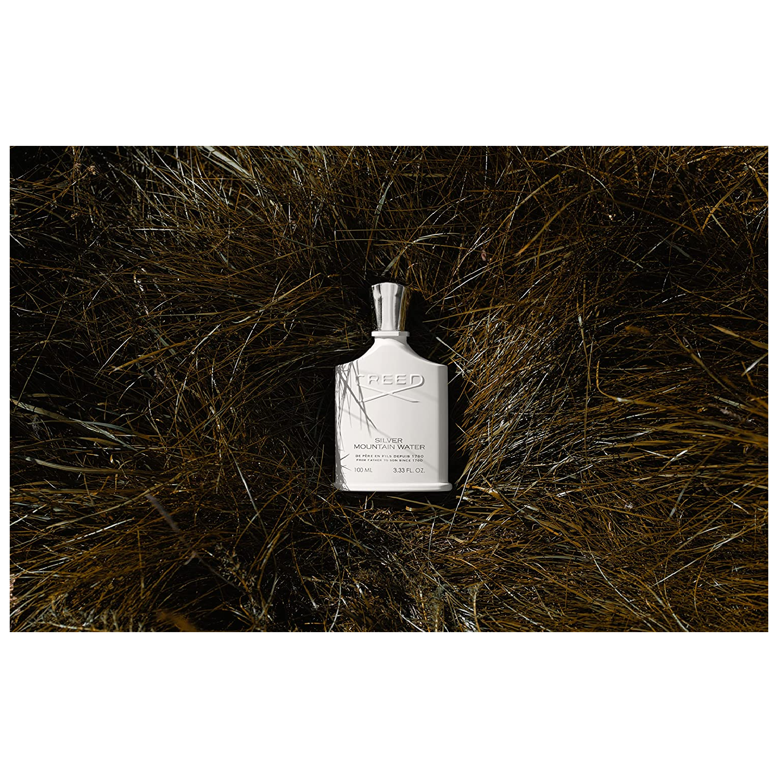Silver Mountain Water