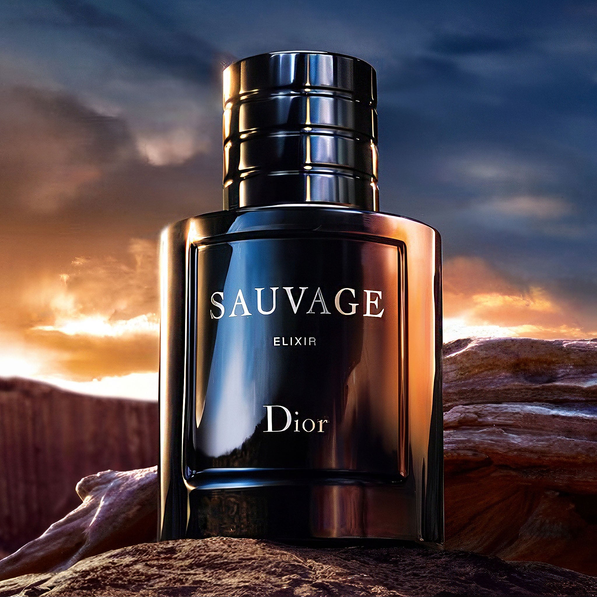 Dior Sauvage Elixir for Men - Luxury Fragrance