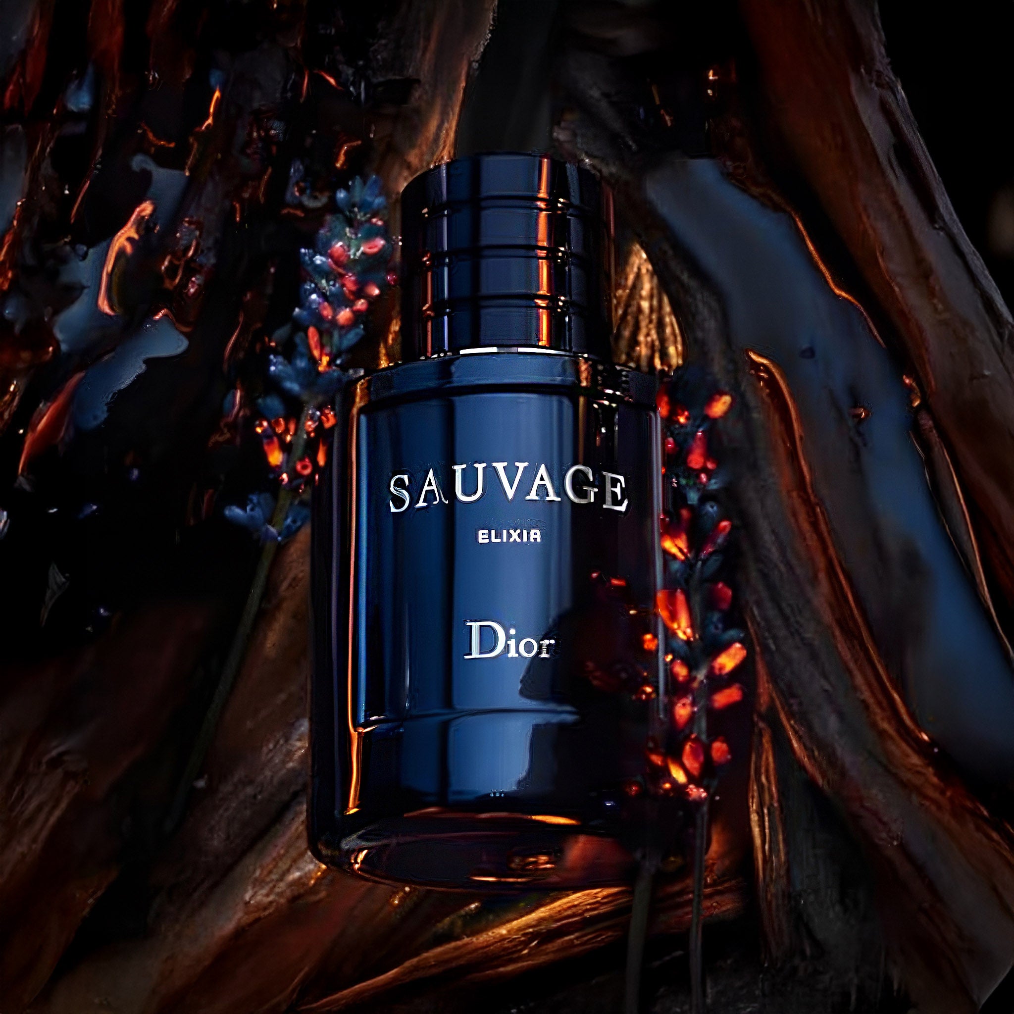 Sauvage Elixir