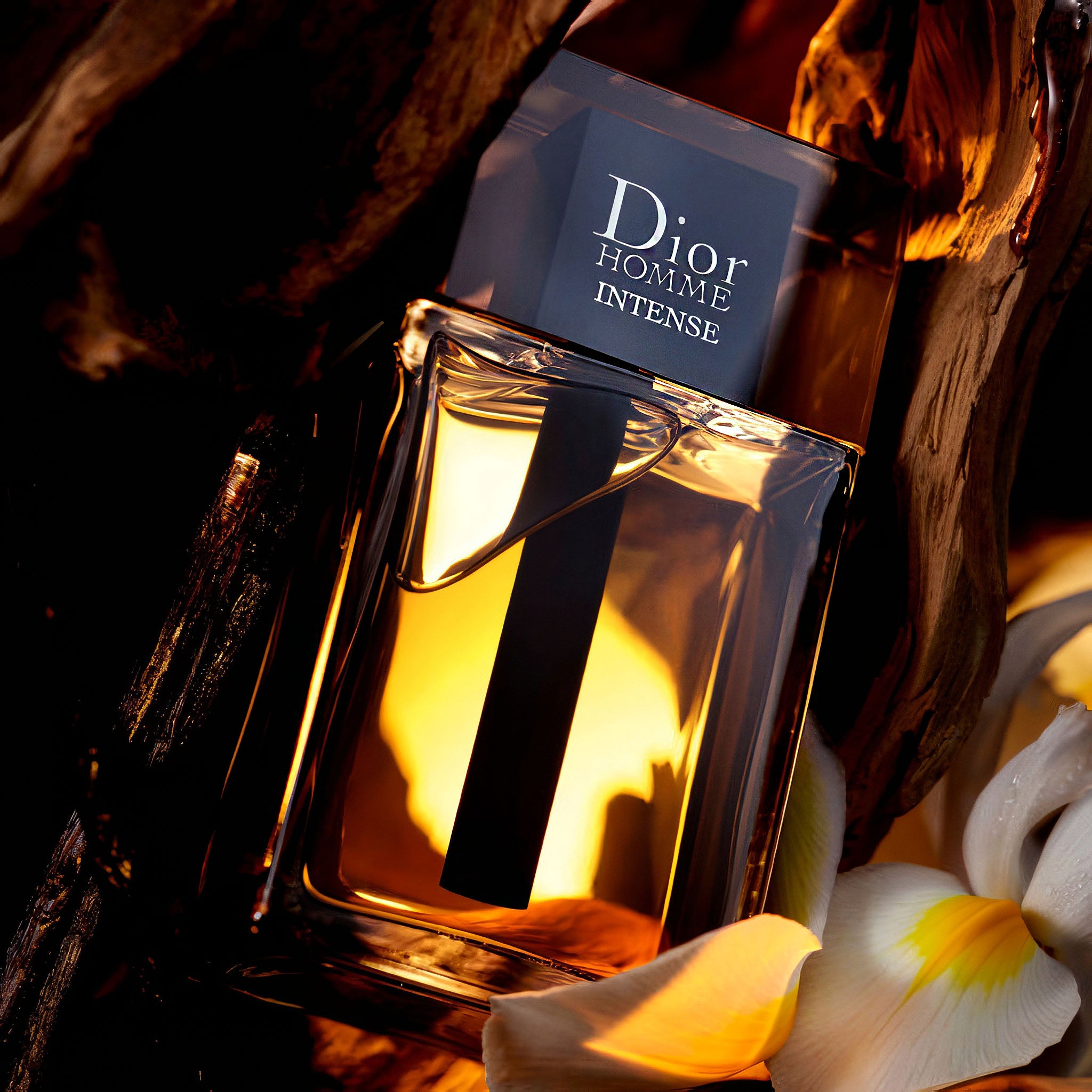 Dior Homme Intense Eau de Parfum - Bold & Sophisticated