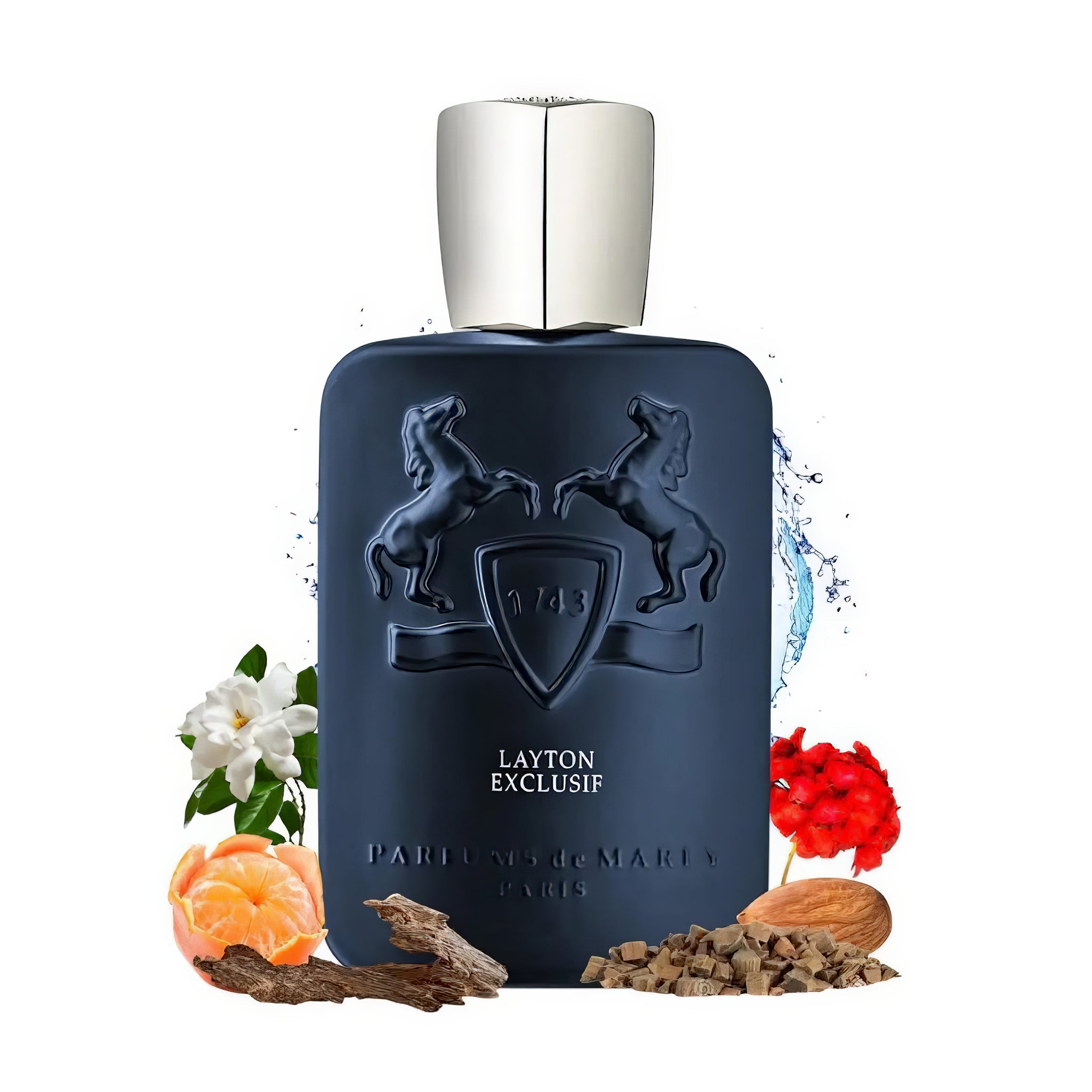 Layton Exclusif