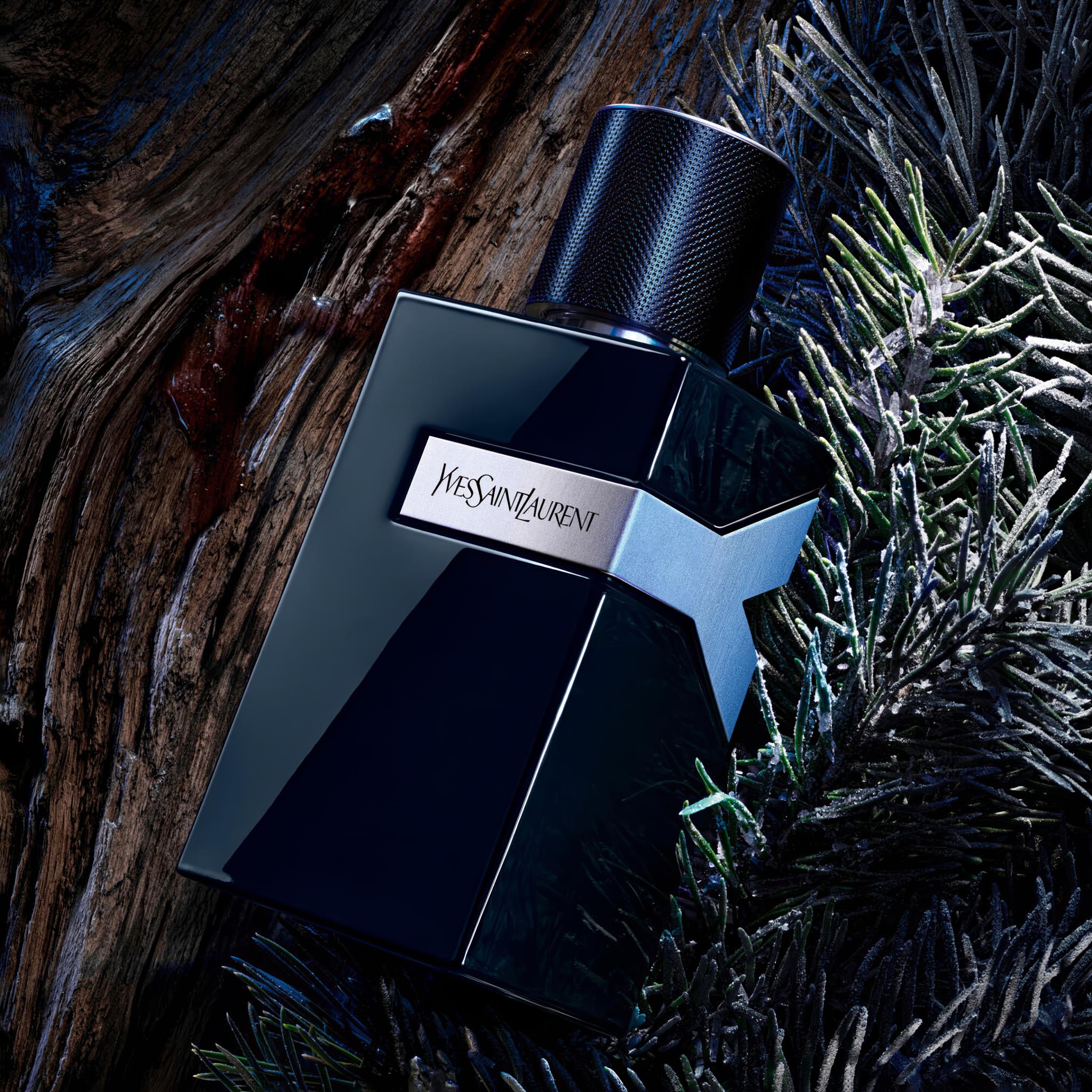 YSL Y Le Parfum (2025) Parfum for Men