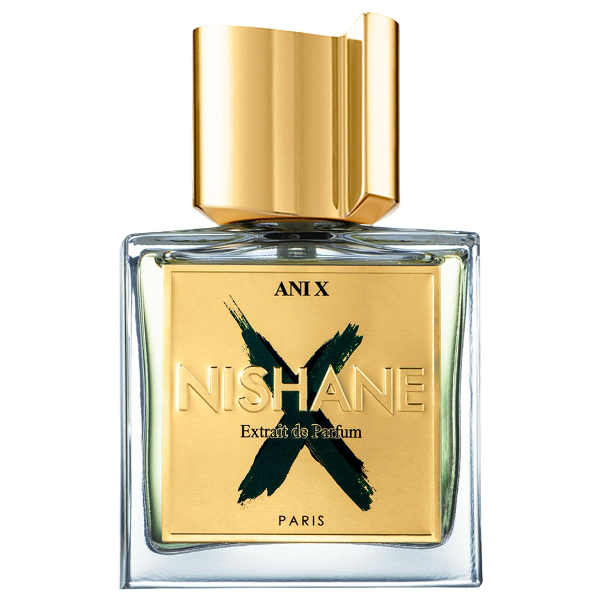 Ani X