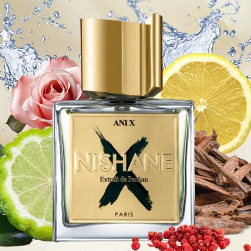 Ani X